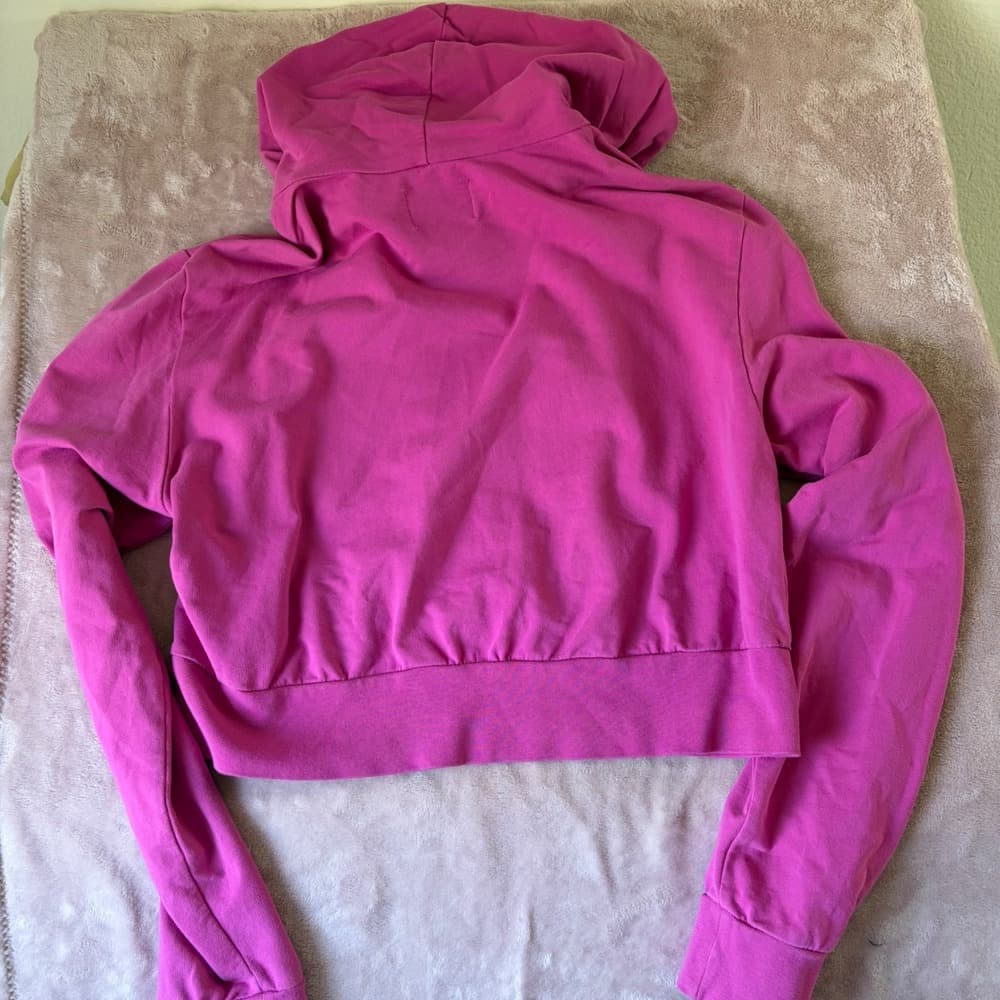 Balmain x Beyonce BAK Pink Cropped Hoodie Sequin Crest Womens Small — photo 6