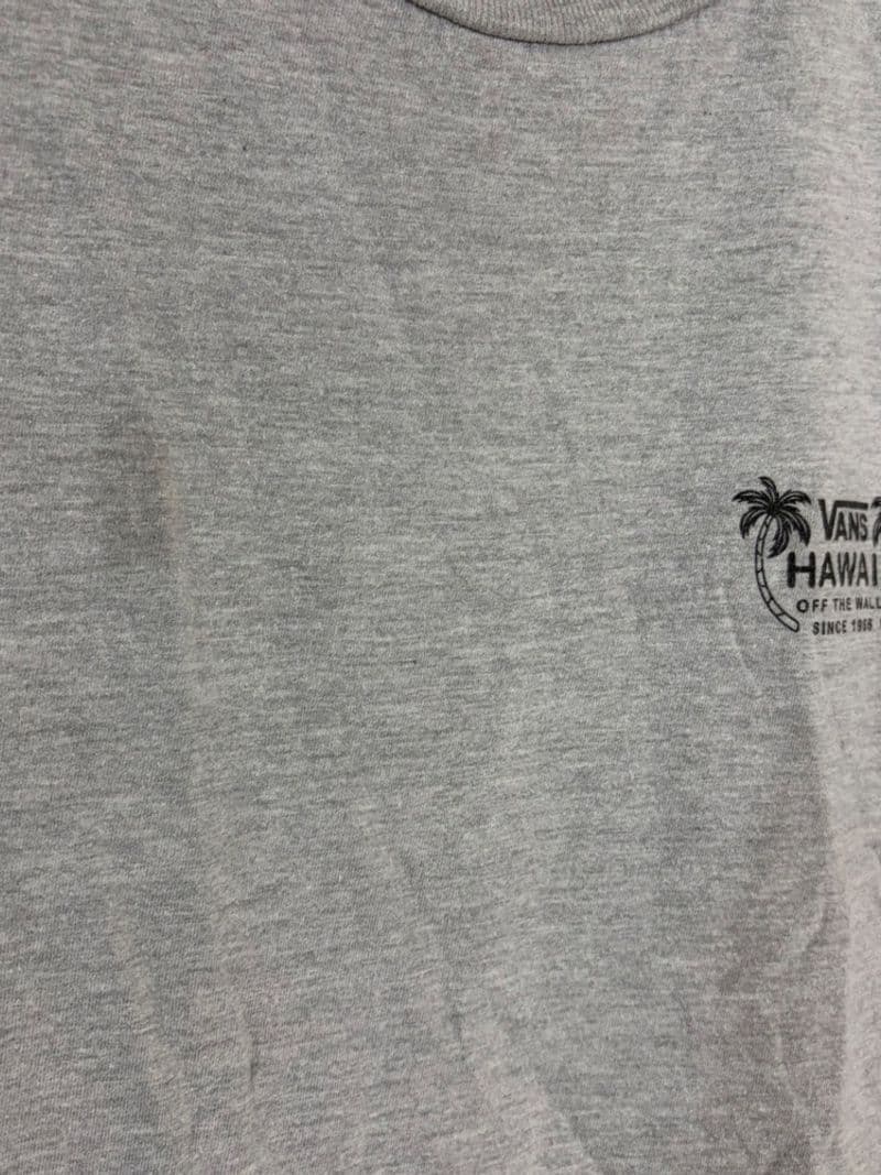 Vans Hawaii Skeleton Hula Girl Graphic T-Shirt Gray Mens Medium Classic Fit — photo 1